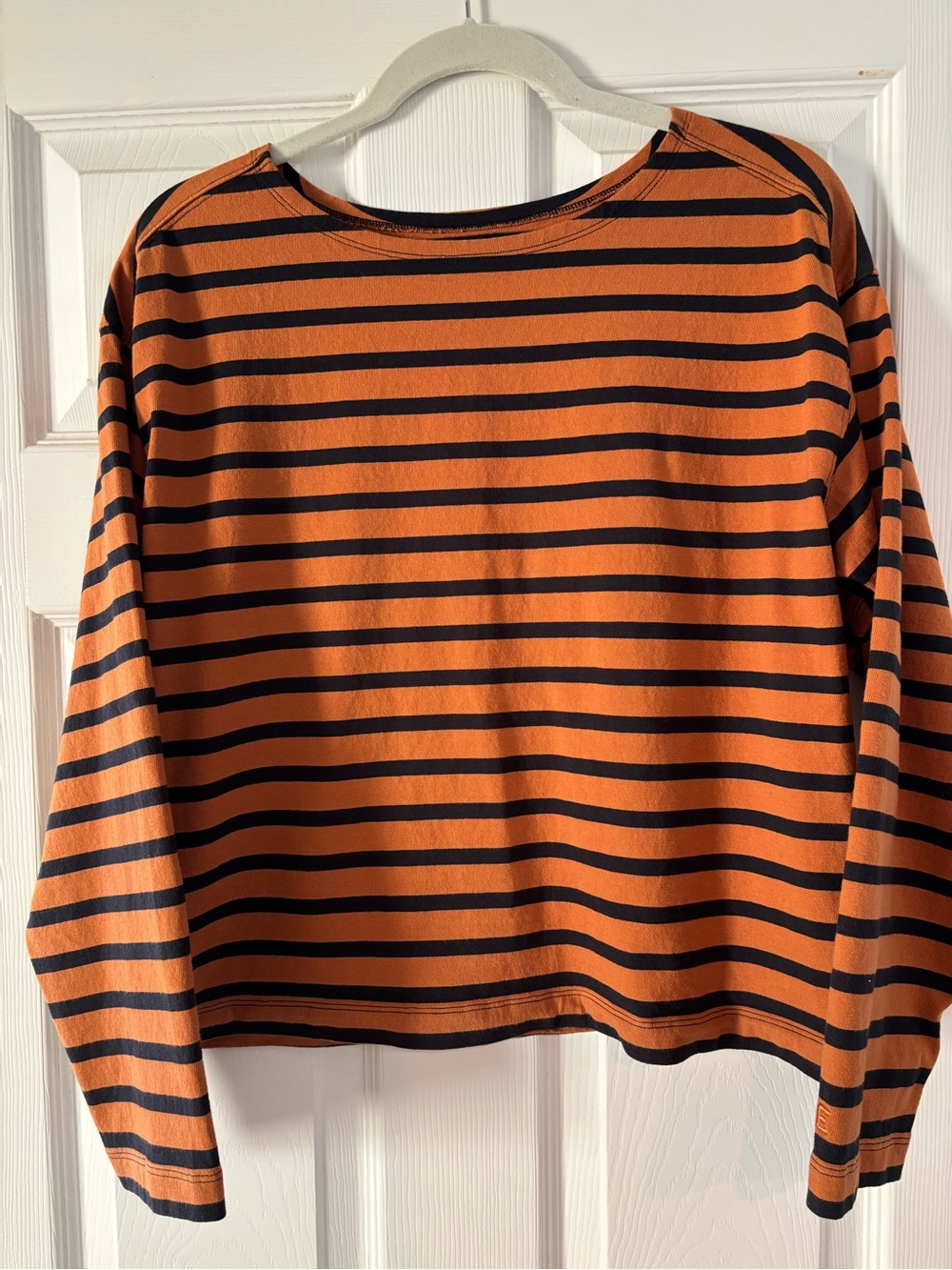 Everlane Long-Sleeve Striped Tee - Rust & Black